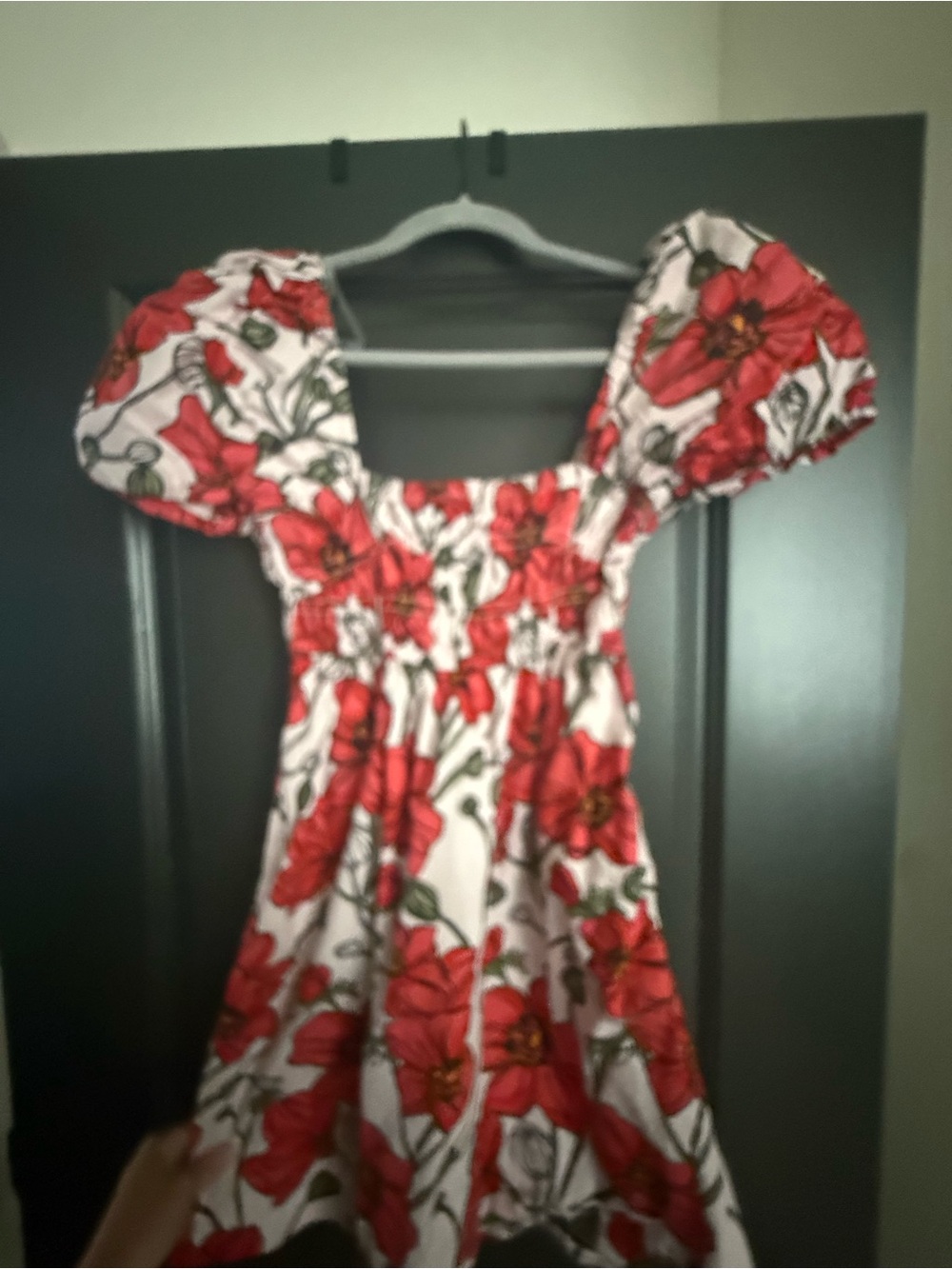 Red Floral Puff-Sleeve Kids Dress